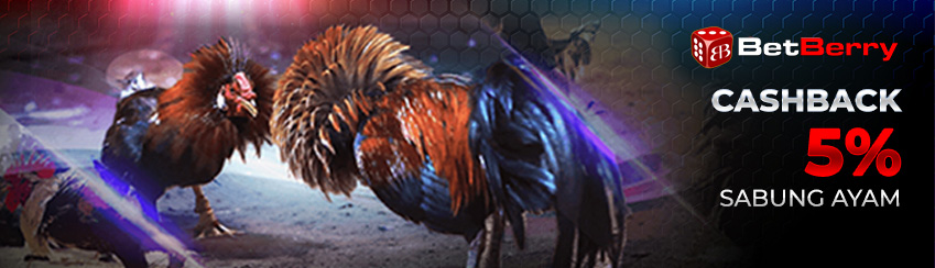 Cashback 5% Tanpa Batas Sabung Ayam